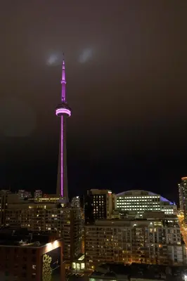 a city with a tower lit up in purple at Hyatt Regency Toronto in Toronto