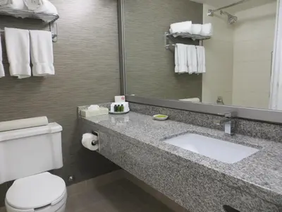 a bathroom with a sink and a toilet and a mirror at Toronto Don Valley Hotel and Suites in Toronto