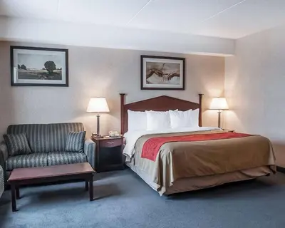 a hotel room with a bed and a chair at Comfort Inn in Mississauga