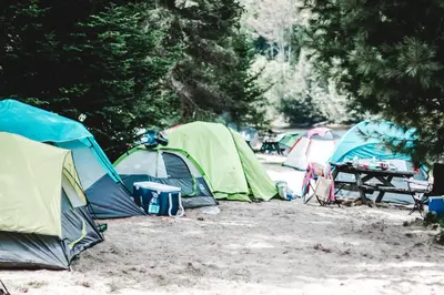 a group of tents in a field with a picnic table at High Falls Bay Cottages, Camping & Waterpark in Bracebridge