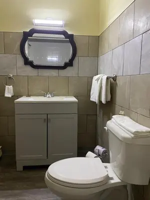 a bathroom with a white toilet and a sink at Scottish Inn Near the Falls and Casino in Niagara Falls