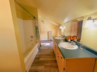 a bathroom with a sink and a bath tub at WHITE SWAN House in Niagara Falls