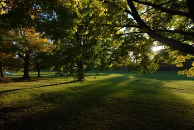 a park with trees with the sun shining through at Kings Inn Orillia in Orillia