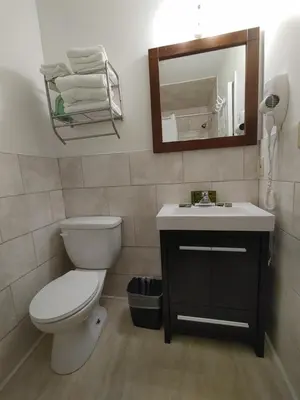 a bathroom with a toilet and a sink and a mirror at Relax Inn-Collingwood in Collingwood