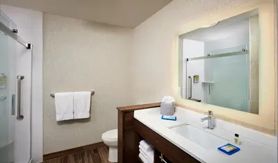 a bathroom with a sink and a toilet and a mirror at Holiday Inn Express & Suites - Brantford by IHG in Brantford