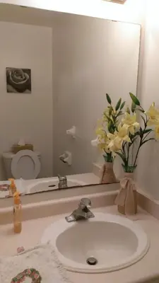 a bathroom with a sink and a mirror and flowers at HB Guest Home 5 in Waterloo