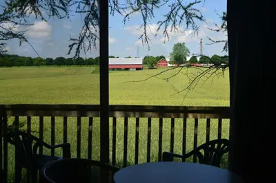 a view of a farm field from a window at Stratford Suburban Motel in Stratford