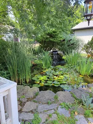 a garden with a pond with lilies and a fountain at Carrousel Bed & Breakfast in Cayuga