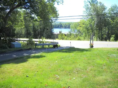 a dog laying in the grass next to a bench at Lakeview Motel in Haliburton