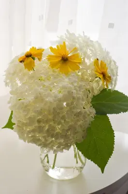 a vase filled with white and yellow flowers at Avery House B&B in Stratford