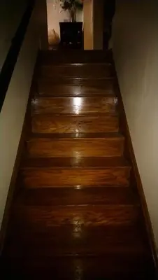 a set of wooden stairs with a plant on the top at Village at York U in Toronto