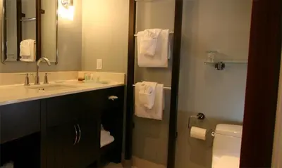 a bathroom with a sink and a toilet at Hockley Valley Resort in Orangeville