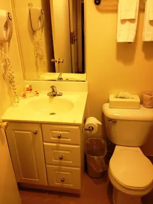 a bathroom with a sink and a toilet and a mirror at Woodstock Inn and Suites in Woodstock