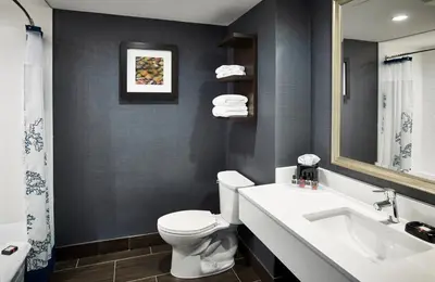 a bathroom with a white toilet and a sink at Waterfront Hotel Downtown Burlington in Burlington