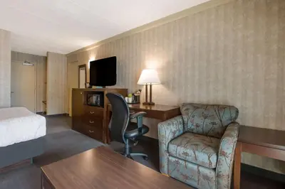 a hotel room with a bed and a desk and a chair at Best Western Brantford Hotel and Conference Centre in Brantford