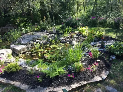 a garden with flowers and rocks at Hammer Haus in Waterloo