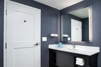 a bathroom with a sink and a mirror at Residence Inn by Marriott Toronto Mississauga West in Mississauga