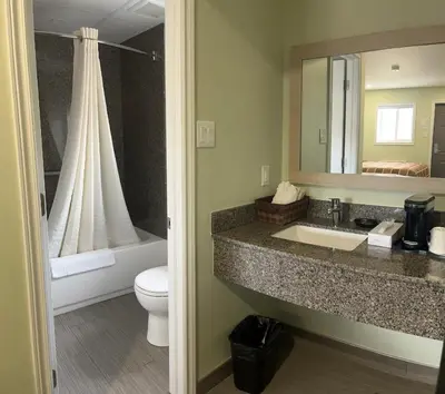 a bathroom with a sink and a toilet and a mirror at Budget Inn in Port Hope