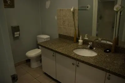 a bathroom with a sink and a toilet at Saint Lawrence Residences and Suites in Toronto