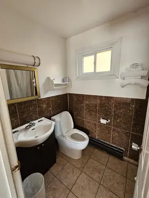 a bathroom with a toilet and a sink at Forest Plaza Motel in Mount Forest