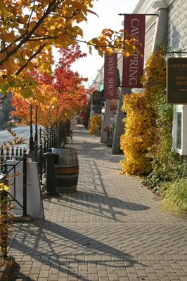 a brick sidewalk with trees and a building at Jordan House Hotel in Jordan