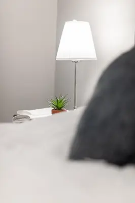 a table with a lamp and a plant on it at ENTIRE 2 BEDROOM APARTMENT UPTOWN WATERLOO - e3 in Waterloo