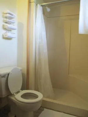 a bathroom with a toilet and a shower at Newburg Inn Motel in New Hamburg