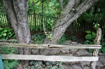 a wooden bench in front of a tree at Burley's Executive Garden Suite in Peterborough