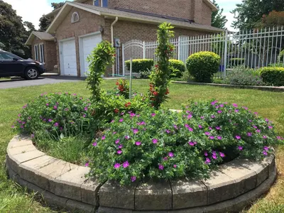 a flower bed with pink flowers in front of a house at Comfort Rooms Near Toronto Airport in Mississauga