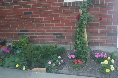 a garden of flowers in front of a brick wall at Luxury Suites at Military Trail in Toronto