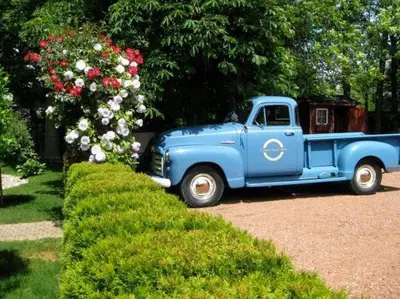 a blue truck parked next to a bush with flowers at Canterbury Inn in Niagara on the Lake