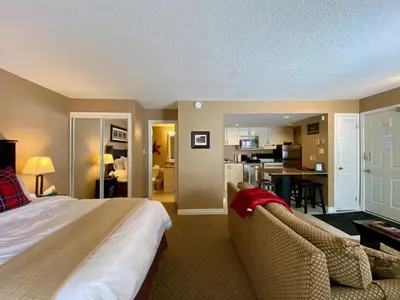 a bedroom with a bed and a living room at Quiet Hillside Studio - Wifi, Pool, Close to The Village in Blue Mountains