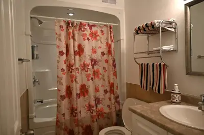 a bathroom with a shower curtain and a sink at Empire Suite in Niagara Falls