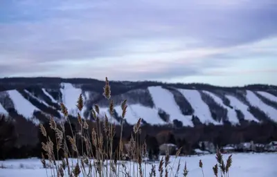 a snow covered field with a hill in the background at Boutique Suite #5 in Blue Mountains