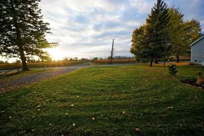a field of grass next to a road with trees at Arrowstone Farmhouse in Historic Old Town in Niagara on the Lake