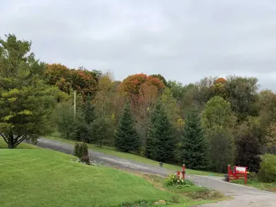 a road in the middle of a field with trees at Our Valley View Bed & Breakfast in Hampton