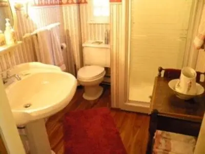 a bathroom with a sink and a toilet and a shower at Stouffermill Bed & Breakfast in Algonquin Highlands