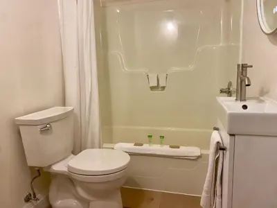 a bathroom with a toilet and a shower and a sink at Ranch House Inn in Exeter