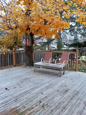 a bench sitting on a deck under a tree at Private Rooms in House in North York Shared Kitchen in Toronto