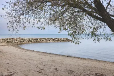 a view of a beach with a tree and the water at Wintergreen 127 in Blue Mountains