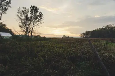 a field with a fence and a tree in it at Fronterra Wellness Farm & Camp in Hillier