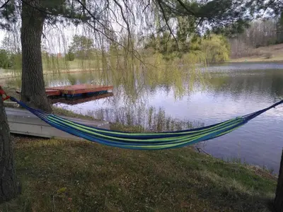 a hammock hanging from a tree next to a lake at Lakeside Private suite-Queen bed room in Tottenham