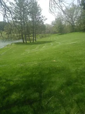 a field of green grass next to a river at Lakeside Private suite-Queen bed room in Tottenham