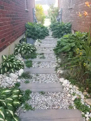 a walkway with rocks and plants in a garden at Executive House easy access to Kitchener-Waterloo, Cambridge, Toronto, walk to restaurants in Kitchener