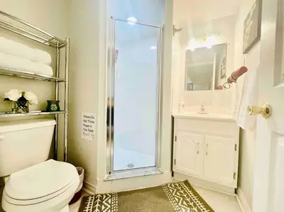 a bathroom with a shower and a toilet and a sink at Comfortable Apartment in Richmond Hill in Richmond Hill