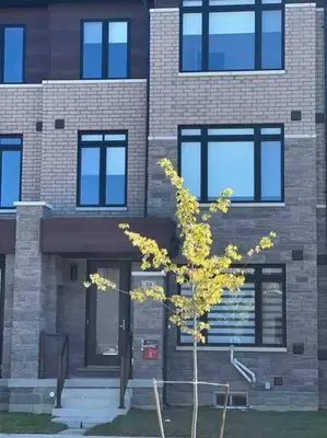 a tree in front of a brick building at New Luxurious Studio Apartment in Brampton