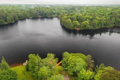 an aerial view of a lake with trees at Bear Essentials Hideaway in Huntsville
