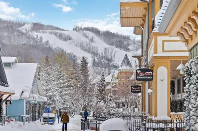 a street covered in snow with people walking down it at 3 Level Ski Chalet 7BR w Deck, Sauna & Ping-Pong! in Blue Mountains